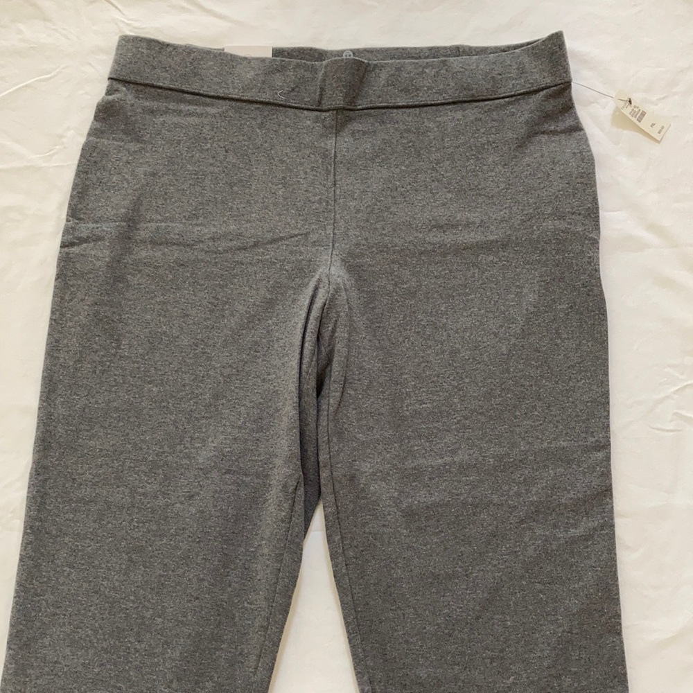 T by Talbots Stretch Pants Petite Size XLp NWT!!